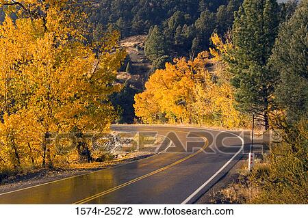 Trees along a road View Large Photo Image Stock Image - Trees along a road. Fotosearch