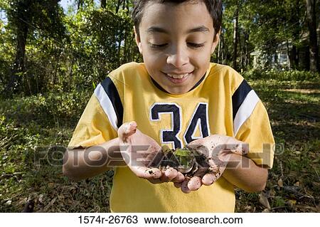 Boy holding a frog in his palm at forest View Large Photo Image Stock Image - Boy holding a frog in his palm at forest. Fotosearch
