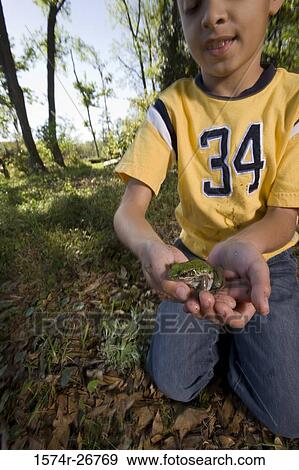 Boy holding a frog in his palm at forest View Large Photo Image Stock Photo - Boy holding a frog in his palm at forest. Fotosearch