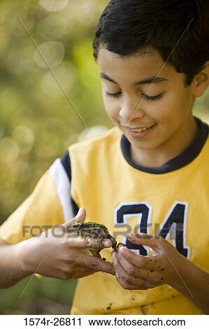 Boy holding a frog on his fingers View Large Photo Image Stock Image - Boy holding a frog on his fingers. Fotosearch