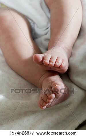 Close-up of a leg of a newborn baby View Large Photo Image Stock Photo - Close-up of a leg of a newborn baby. Fotosearch