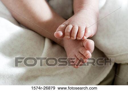 Close-up of a leg of a newborn baby View Large Photo Image Stock Photo - Close-up of a leg of a newborn baby. Fotosearch