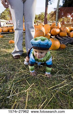 Stock Image - Cute boy crawling on grass while his parent standing behind him. Fotosearch