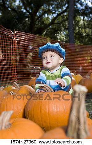 Cute boy in warm clothing sitting amid pumpkins View Large Photo Image Stock Image - Cute boy in warm clothing sitting amid pumpkins. Fotosearch