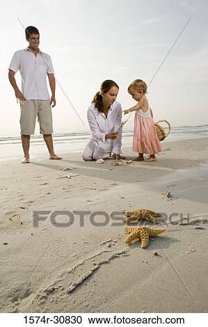 Stock Image - Family at daughter on the beach with starfishes in the foreground. Fotosearch