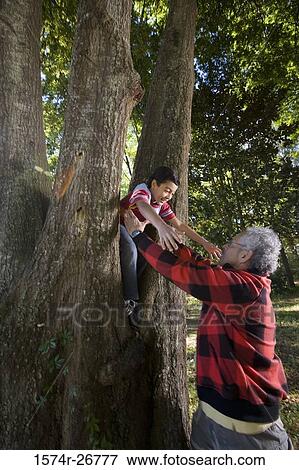 Grandfather carrying his grandson from a tree at forest View Large Photo Image Stock Photo - Grandfather carrying his grandson from a tree at forest. Fotosearch