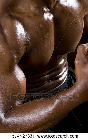 Midsection of a young man flexing muscles in the gym View Large Photo Image Stock Image - Midsection of a young man flexing muscles in the gym. Fotosearch