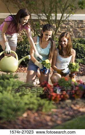 Mother and daughters gardening in lawn View Large Photo Image Stock Image - Mother and daughters gardening in lawn. Fotosearch