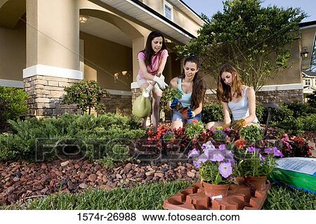 Mother gardening with her daughters in garden View Large Photo Image Stock Photo - Mother gardening with her daughters in garden. Fotosearch