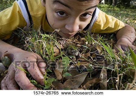 Portrait of a boy lying on grass by a frog View Large Photo Image Stock Photography - Portrait of a boy lying on grass by a frog. Fotosearch