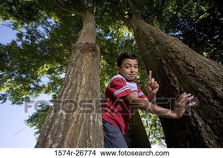 Portrait of a boy pointing amid trees View Large Photo Image Picture - Portrait of a boy pointing amid trees. Fotosearch