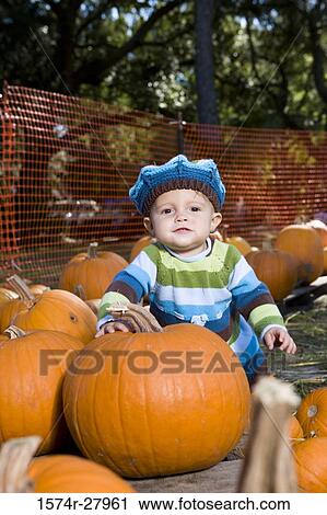 Portrait of a cute boy in warm clothing sitting amid pumpkins View Large Photo Image Stock Image - Portrait of a cute boy in warm clothing sitting amid pumpkins. Fotosearch