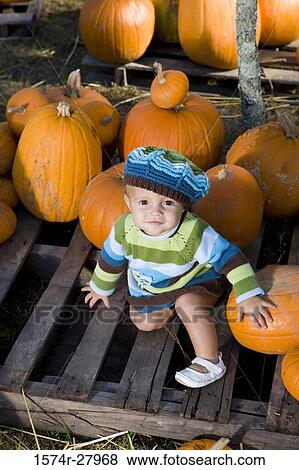 Portrait of a cute boy in warm clothing sitting amid pumpkins View Large Photo Image Stock Photo - Portrait of a cute boy in warm clothing sitting amid pumpkins. Fotosearch