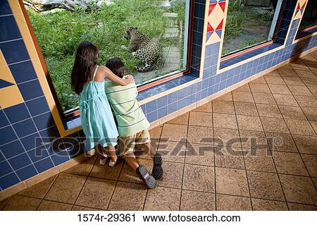 Rear view of boy and girl looking at leopard View Large Photo Image Stock Image - Rear view of boy and girl looking at leopard. Fotosearch