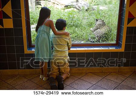 Rear view of boy and girl looking at leopard View Large Photo Image Stock Photo - Rear view of boy and girl looking at leopard. Fotosearch