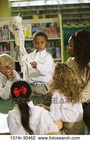 Schoolboy pointing at parts of a model skeleton while students and teacher looking on View Large Photo Image Stock Image - Schoolboy pointing at parts of a model skeleton while students and teacher looking on. Fotosearch