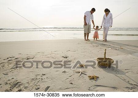 Starfishes by basket with family standing in the background on the beach View Large Photo Image Stock Photography - Starfishes by basket with family standing in the background on the beach. Fotosearch