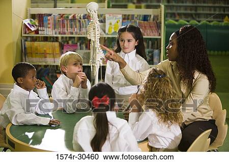 Teacher showing a model skeleton to students in the library View Large Photo Image Stock Image - Teacher showing a model skeleton to students in the library. Fotosearch