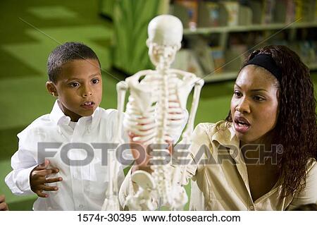 Stock Photography - Teacher showing a model skeleton to students in the library. Fotosearch