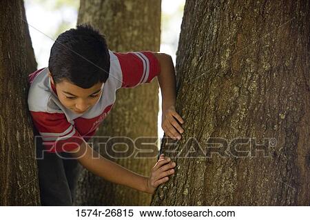 View of a boy looking down while standing amid tree trunks View Large Photo Image Stock Photography - View of a boy looking down while standing amid tree trunks. Fotosearch