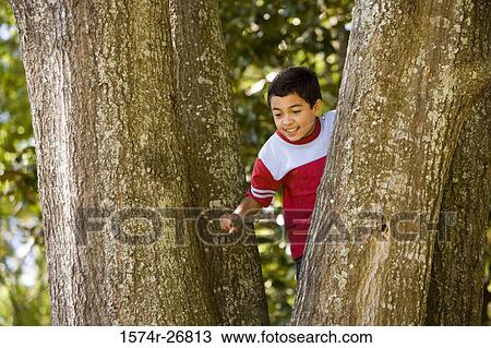 View of a cheerful boy smiling amid tree trunks and holding a stick View Large Photo Image Stock Image - View of a cheerful boy smiling amid tree trunks and holding a stick. Fotosearch