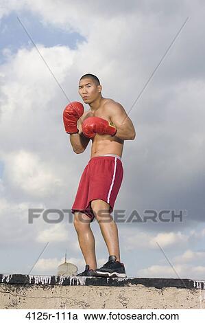 Boxer practicing on a rooftop, New York City, New York State, USA View Large Photo Image Stock Image - Boxer practicing on a rooftop, New York City, New York State, USA. Fotosearch