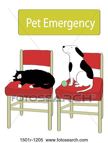 Stock Photography - Cat and dog waiting at vet's office. Fotosearch