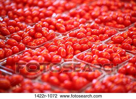 Cherry tomatoes at a market stall View Large Photo Image Stock Image - Cherry tomatoes at a market stall. Fotosearch
