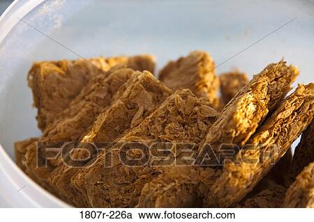 Close up of cereal in bowl View Large Photo Image Stock Image - Close up of cereal in bowl. Fotosearch