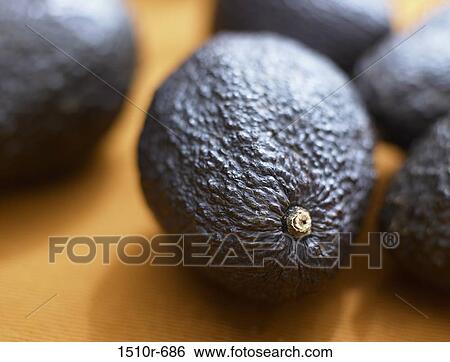 Close-up of ripe avocados View Large Photo Image Stock Photograph - Close-up of ripe avocados. Fotosearch