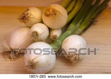 Stock Image - Close-up of spring onions. Fotosearch