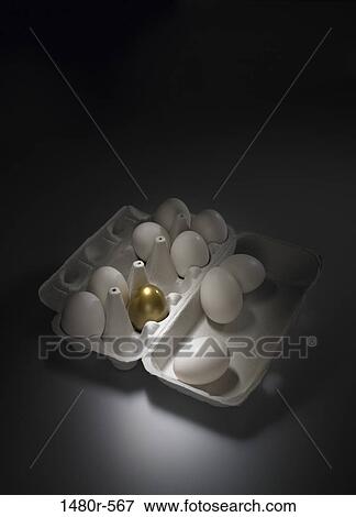 Golden egg in an egg carton of white eggs View Large Photo Image Stock Photo - Golden egg in an egg carton of white eggs. Fotosearch