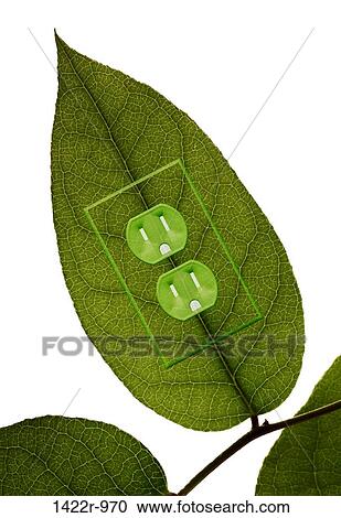 Green plant leaf with an electrical outlet View Large Photo Image Stock Image - Green plant leaf with an electrical outlet. Fotosearch