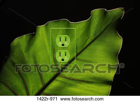 Stock Image - Green plant leaf with an electrical outlet. Fotosearch