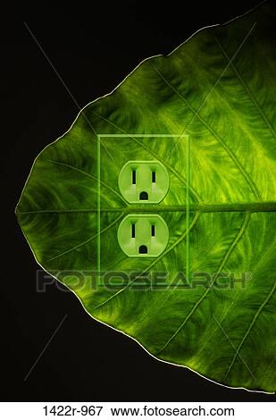 Stock Photo - Green plant leaf with an electrical outlet. Fotosearch
