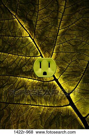 Green plant leaf with an electrical outlet View Large Photo Image Stock Photo - Green plant leaf with an electrical outlet. Fotosearch