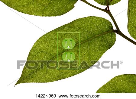 Green plant leaf with an electrical outlet View Large Photo Image Stock Photo - Green plant leaf with an electrical outlet. Fotosearch