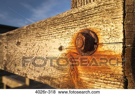 Nut and bolt on a weathered wood wall View Large Photo Image Stock Photo - Nut and bolt on a weathered wood wall. Fotosearch