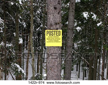 Posted private property sign on a tree in the woods View Large Photo Image Picture - Posted private property sign on a tree in the woods. Fotosearch