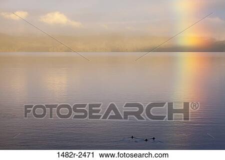 Sunrise rainbow over the sea, Hood Canal, Seabeck, Kitsap County, Washington State, USA View Large Photo Image Stock Image - Sunrise rainbow over the sea, Hood Canal, Seabeck, Kitsap County, Washington State, USA. Fotosearch