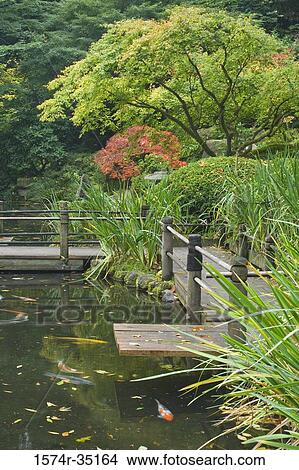 Trees with a pond in a garden, Japanese Garden, Portland, Oregon, USA View Large Photo Image Picture - Trees with a pond in a garden, Japanese Garden, Portland, Oregon, USA. Fotosearch