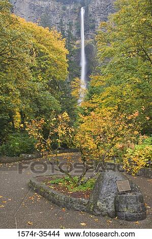 Waterfall in a forest, Multnomah Falls, Columbia River Gorge, Oregon, USA View Large Photo Image Picture - Waterfall in a forest, Multnomah Falls, Columbia River Gorge, Oregon, USA. Fotosearch