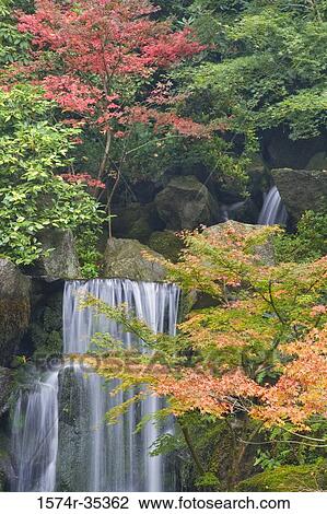 Waterfall in a garden, Portland Japanese Garden, Portland, Oregon, USA View Large Photo Image Stock Image - Waterfall in a garden, Portland Japanese Garden, Portland, Oregon, USA. Fotosearch