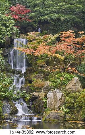 Waterfall in a garden, Portland Japanese Garden, Portland, Oregon, USA View Large Photo Image Stock Image - Waterfall in a garden, Portland Japanese Garden, Portland, Oregon, USA. Fotosearch