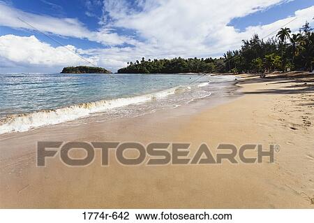 Waves on the beach, Cerro Gordo, Vega Alta, Puerto Rico View Large Photo Image Stock Image - Waves on the beach, Cerro Gordo, Vega Alta, Puerto Rico. Fotosearch