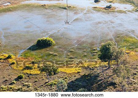 Aerial view of a delta, Okavango Delta, Botswana View Large Photo Image Stock Image - Aerial view of a delta, Okavango Delta, Botswana. Fotosearch