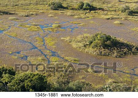 Stock Image - Aerial view of a delta, Okavango Delta, Botswana. Fotosearch