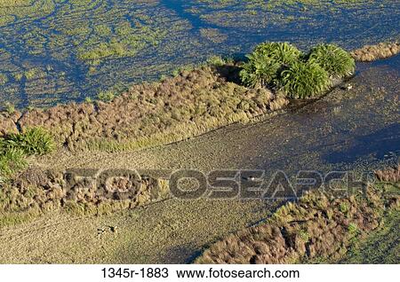 Stock Image - Aerial view of a delta, Okavango Delta, Botswana. Fotosearch