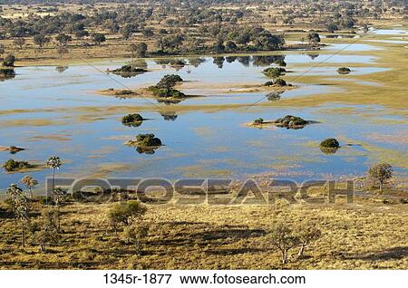 Stock Photo - Aerial view of a delta, Okavango Delta, Botswana. Fotosearch