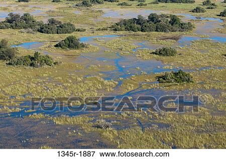 Stock Photo - Aerial view of a delta, Okavango Delta, Botswana. Fotosearch